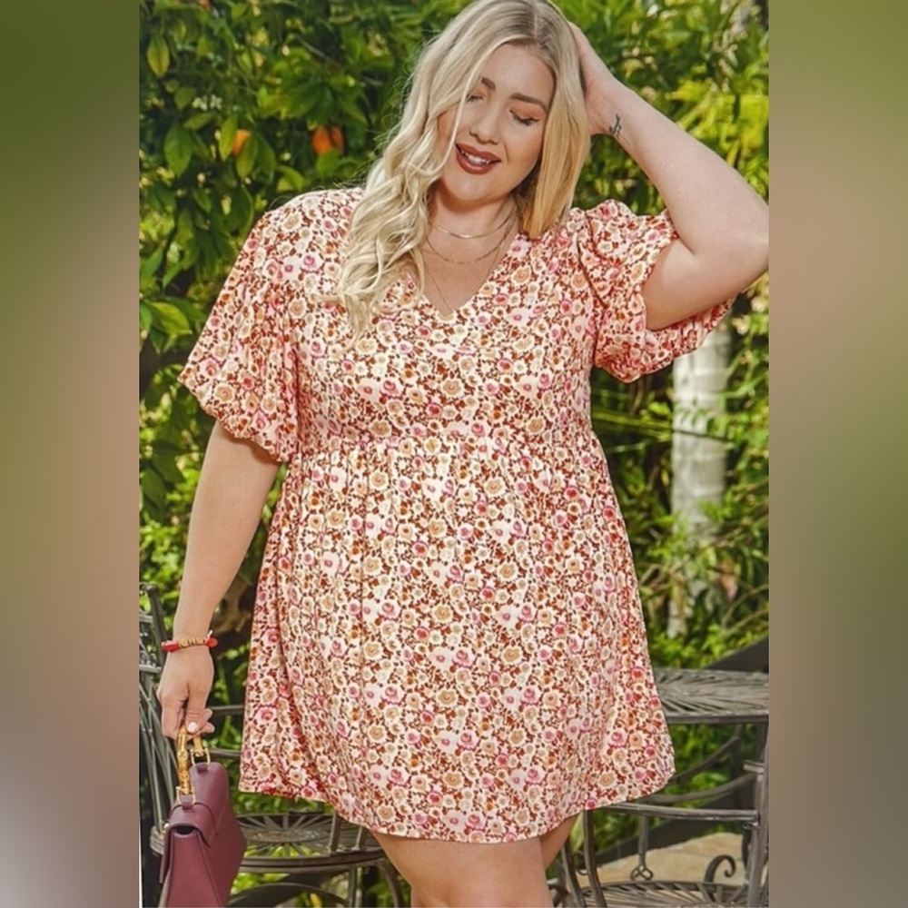 Floral Dress NWT Lined 2X Plus Size Short Sleeves V Neck Tunic